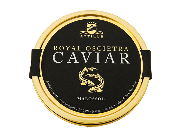 caviar-esturion-ruso